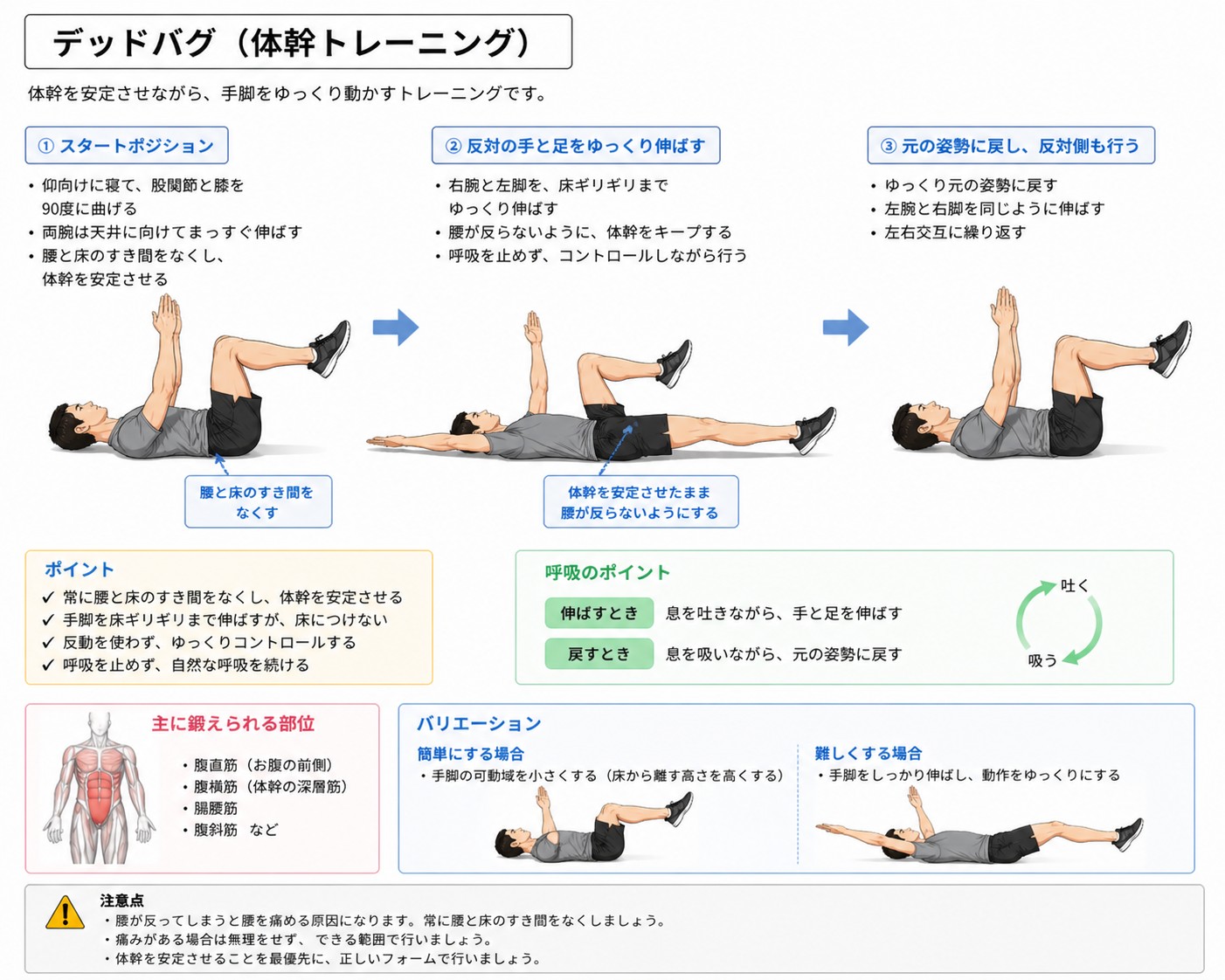 デッドバグのやり方