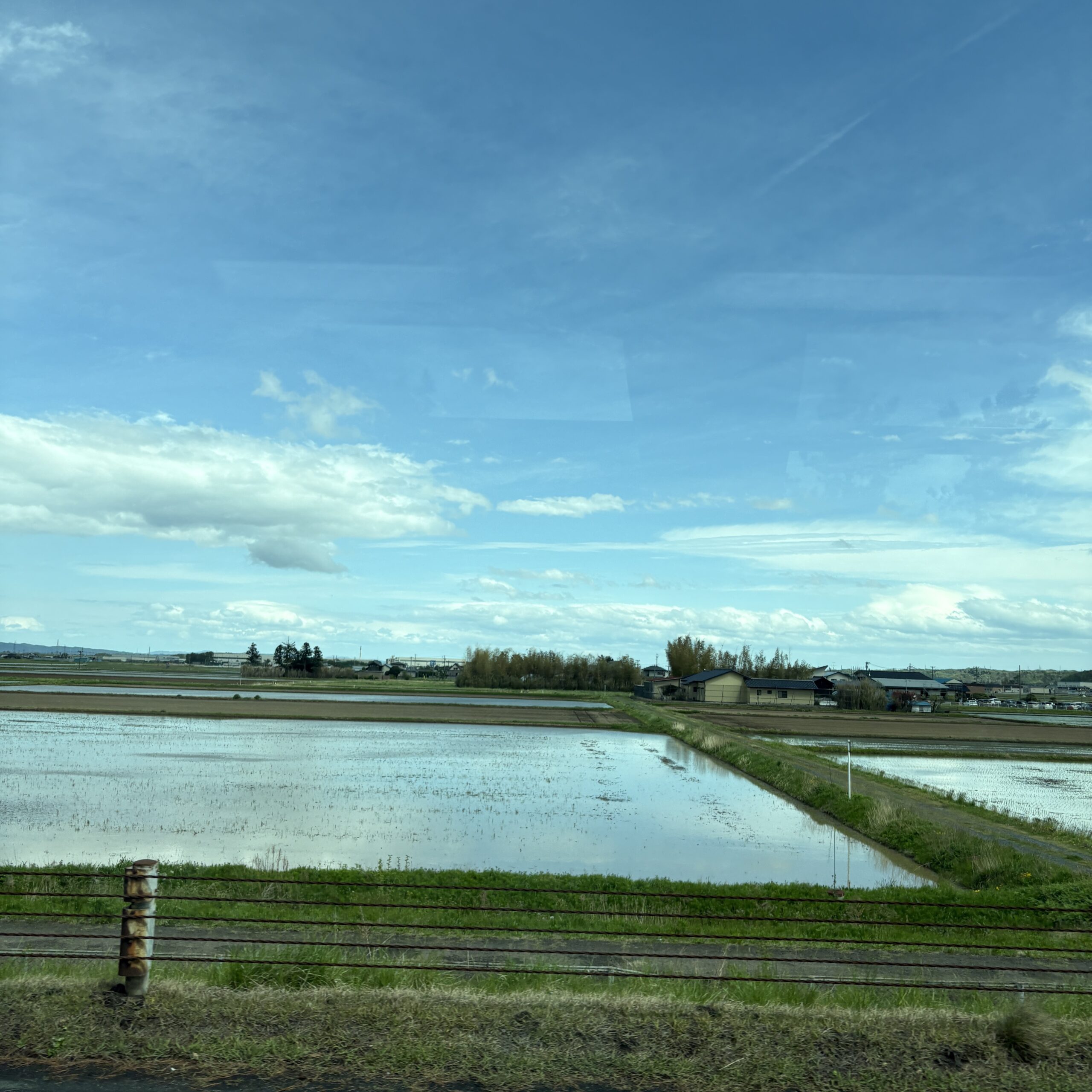バス車窓から水田の風景