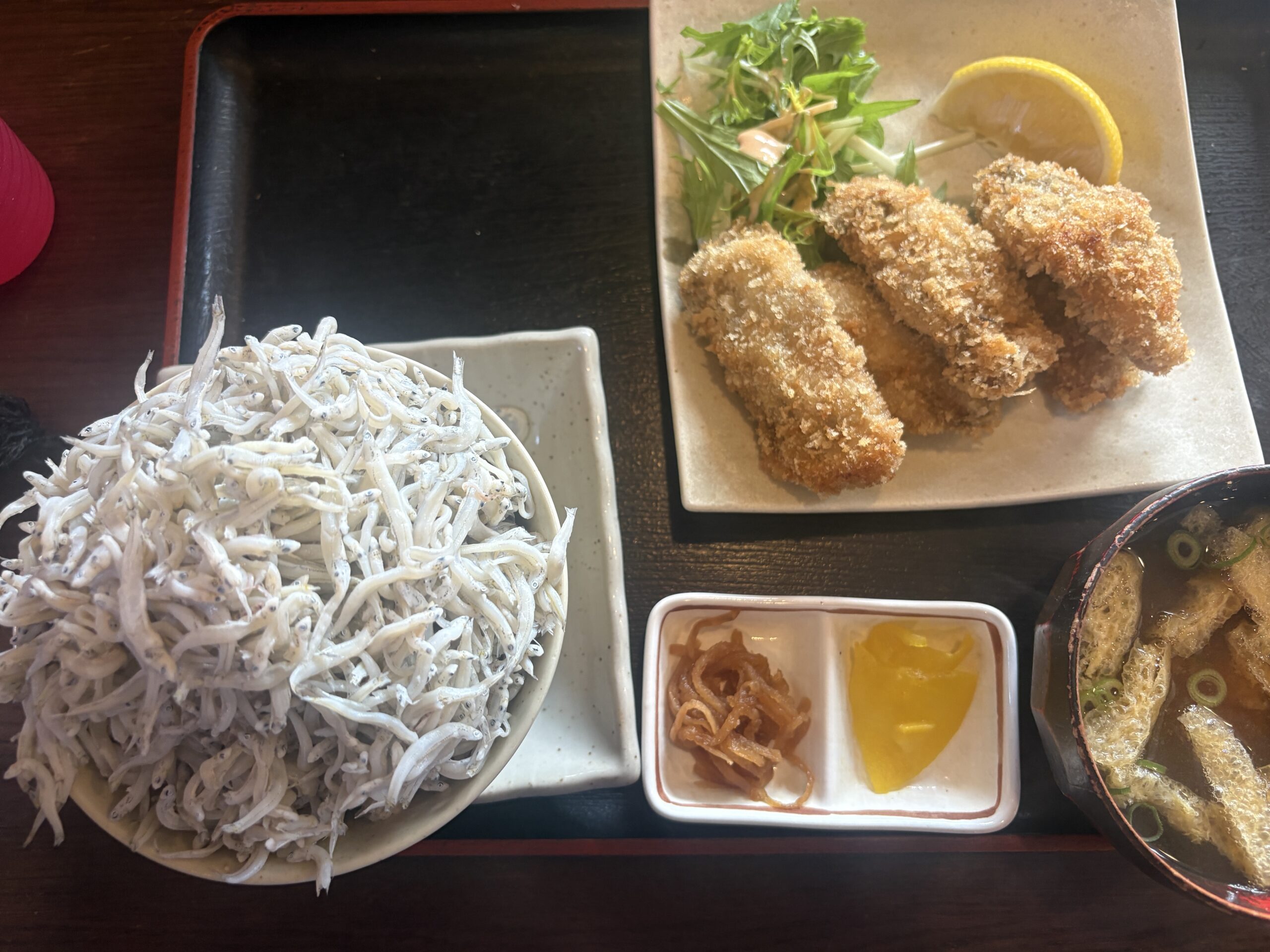 しらす丼+カキフライの定食(全体)