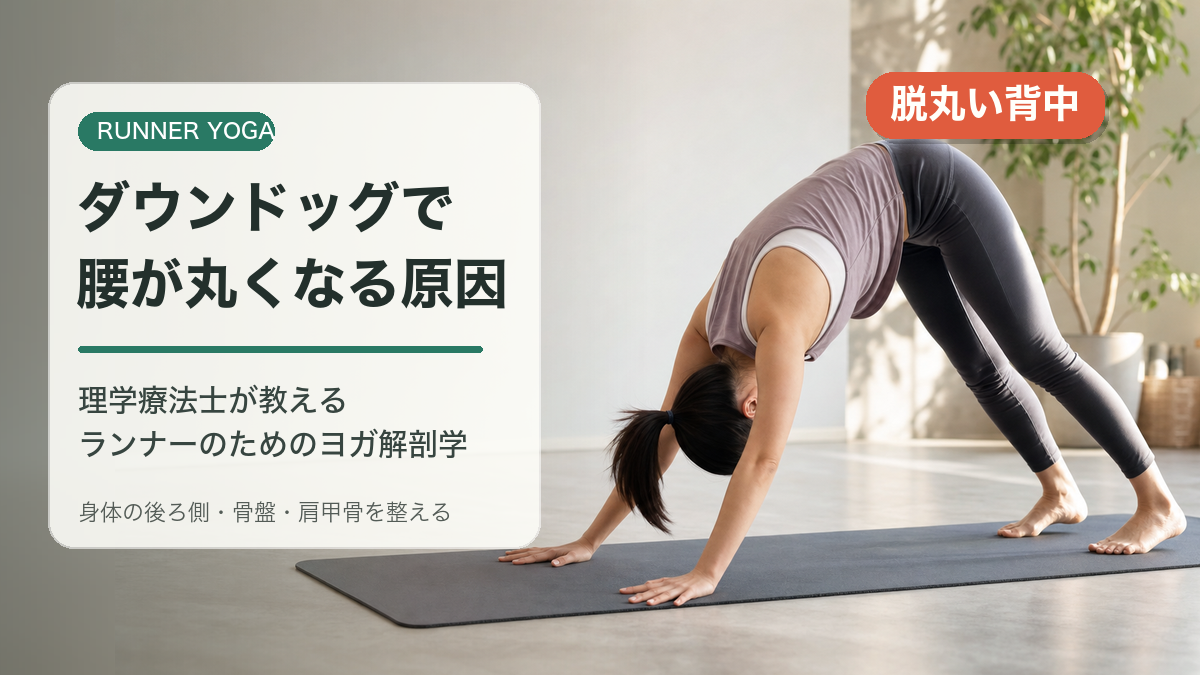 ダウンドッグで腰が丸くなる原因のアイキャッチ画像