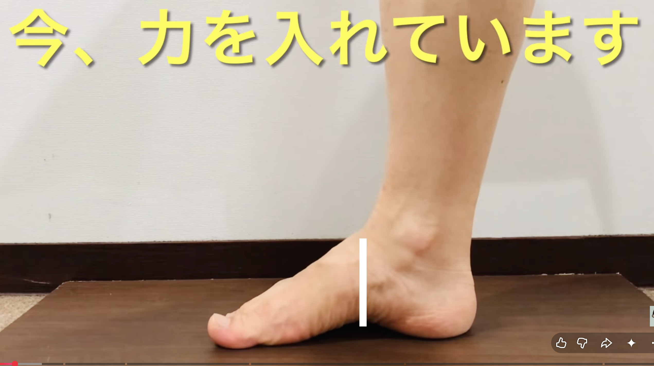 今、力を入れています