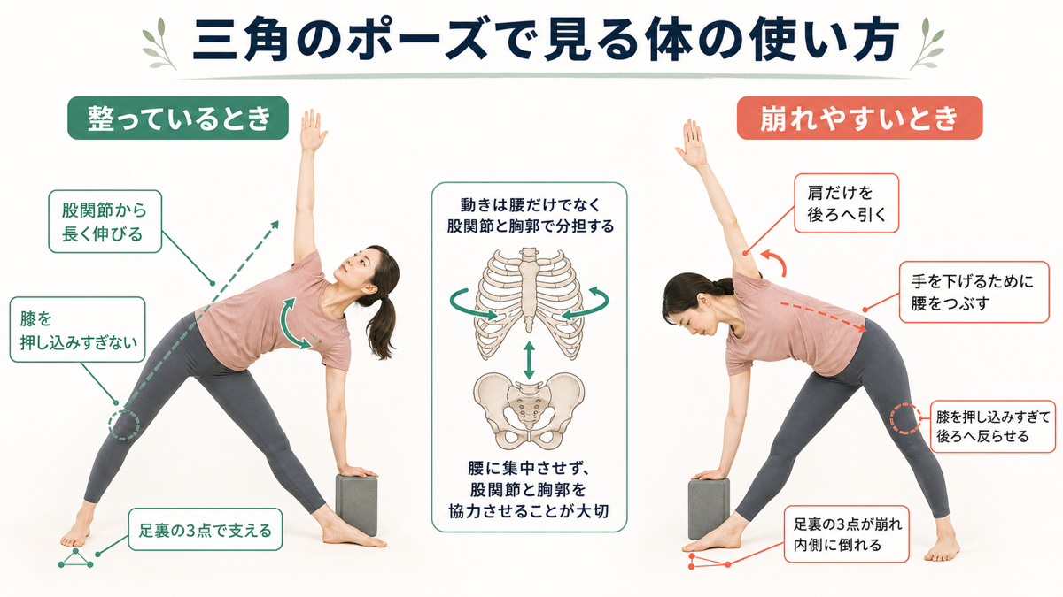 三角のポーズで整っている姿勢と腰や膝に負担が集中しやすい姿勢を比較した解説図
