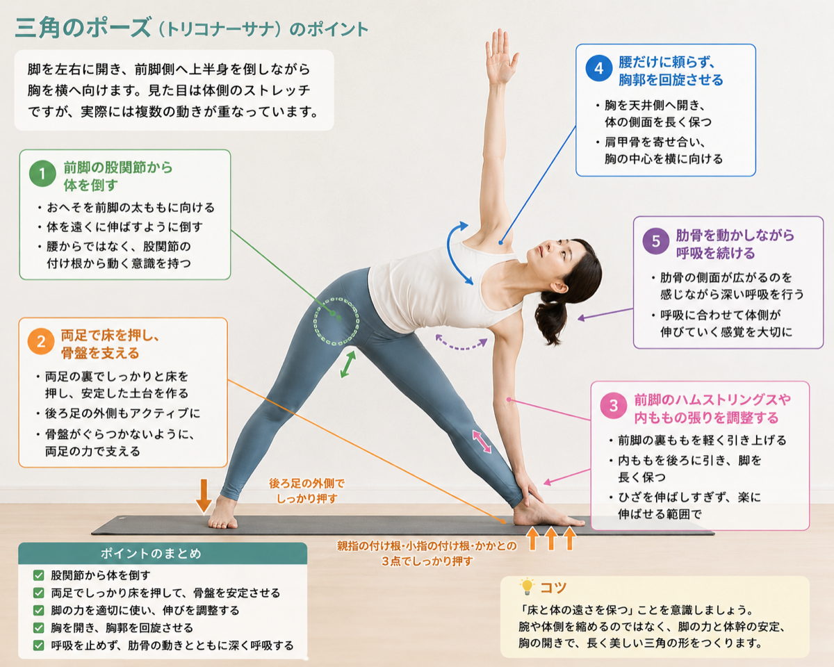 股関節、足裏、もも裏、胸郭、呼吸から三角のポーズのポイントを解説した画像